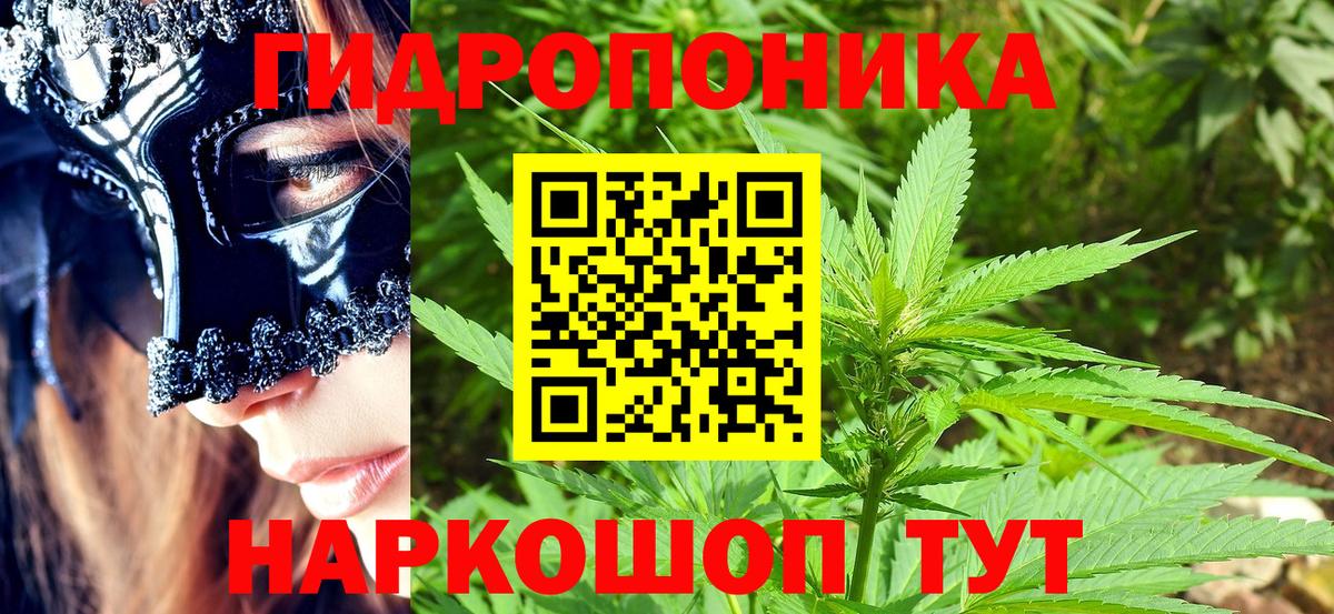 Бошки марихуана индика  Вход с VPN  Канабис план  Бошки марихуана семена  Россия 